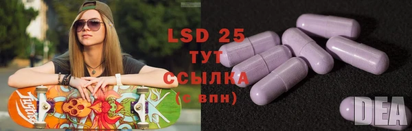 стафф Алзамай