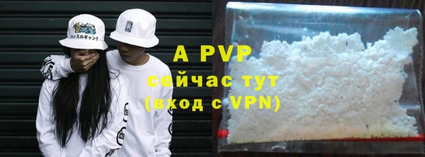 стафф Алзамай