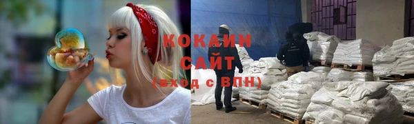 стафф Алзамай