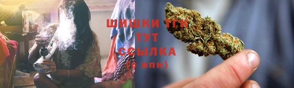 гашик Алексеевка