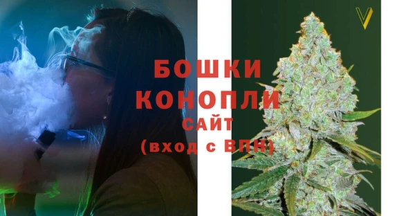 ГАЛЛЮЦИНОГЕННЫЕ ГРИБЫ Алексин