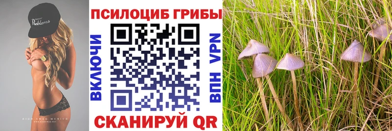 Галлюциногенные грибы ЛСД  kraken вход  Ладушкин 